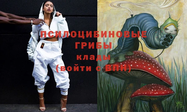 СК Заводоуковск