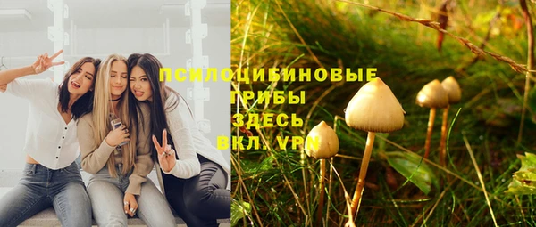 не бодяженный Щёлкино