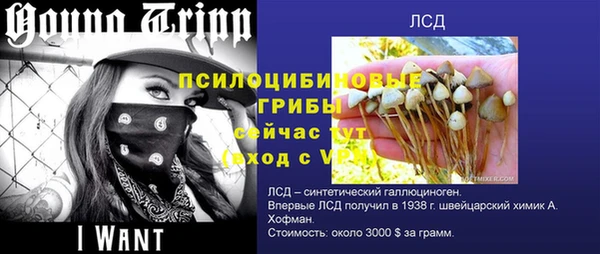 стафф Щигры