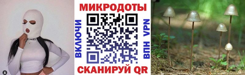 Купить  Кремёнки  Псилоцибиновые грибы мицелий 